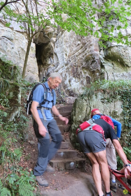 Randonnée joëlettes à Berdorf