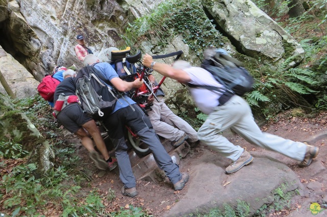 Randonnée joëlettes à Berdorf