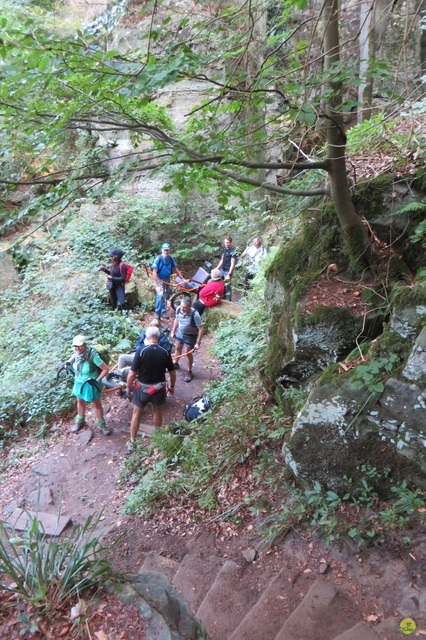 Randonnée joëlettes à Berdorf