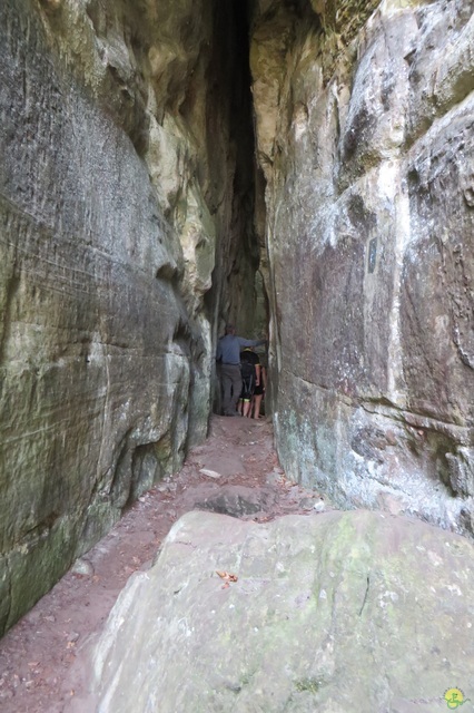 Randonnée joëlettes à Berdorf