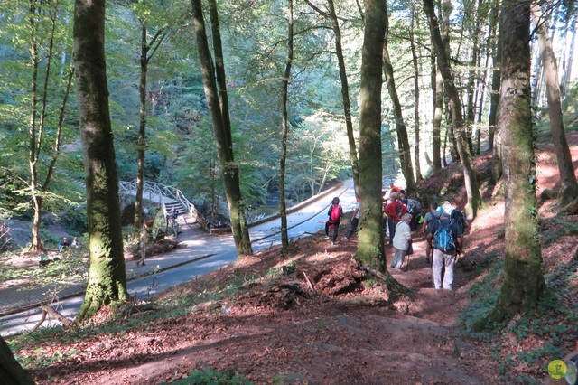 Randonnée joëlettes à Berdorf