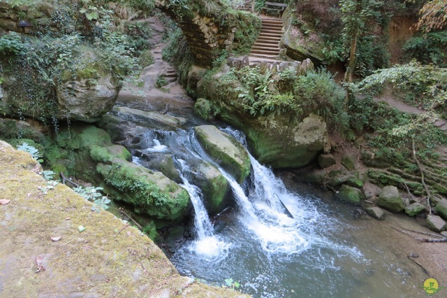 Randonnée joëlettes à Berdorf