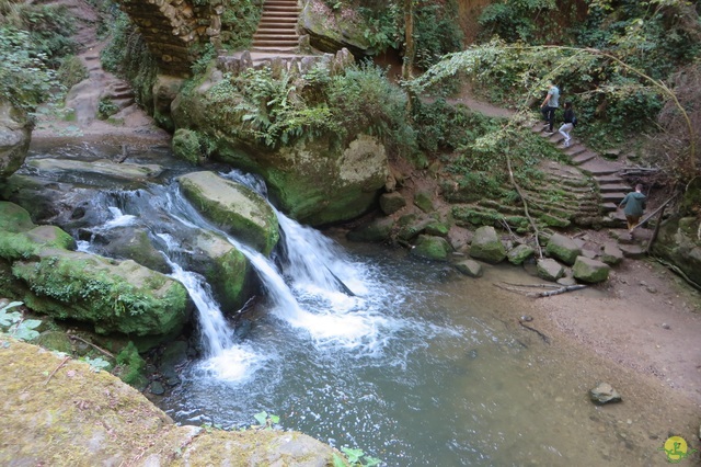 Randonnée joëlettes à Berdorf