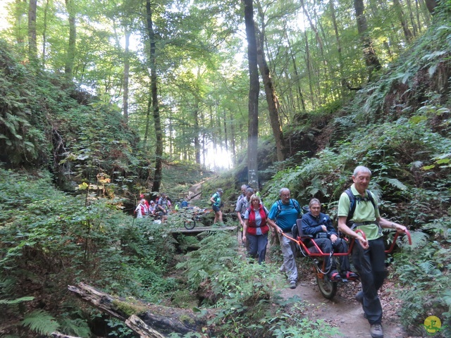 Randonnée joëlettes à Berdorf