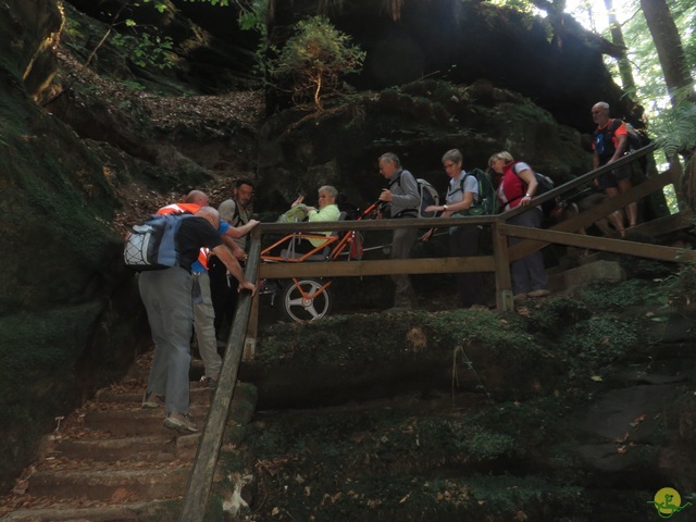 Randonnée joëlettes à Berdorf