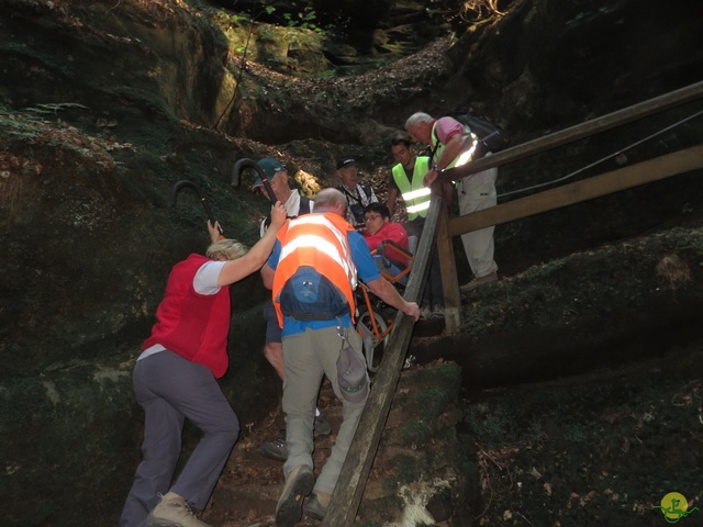 Randonnée joëlettes à Berdorf