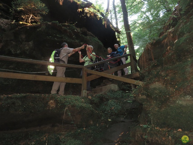 Randonnée joëlettes à Berdorf