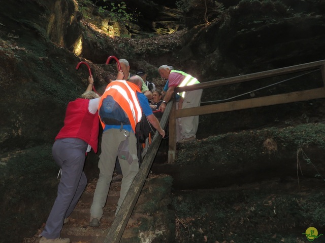 Randonnée joëlettes à Berdorf