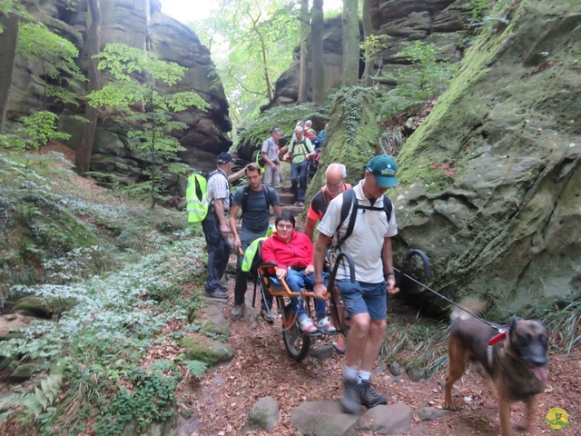 Randonnée joëlettes à Berdorf