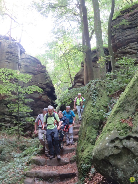 Randonnée joëlettes à Berdorf