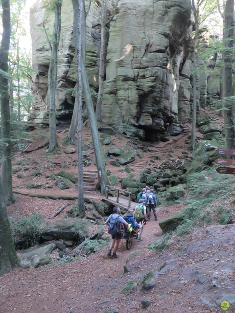 Randonnée joëlettes à Berdorf