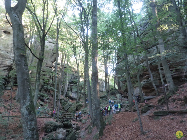 Randonnée joëlettes à Berdorf