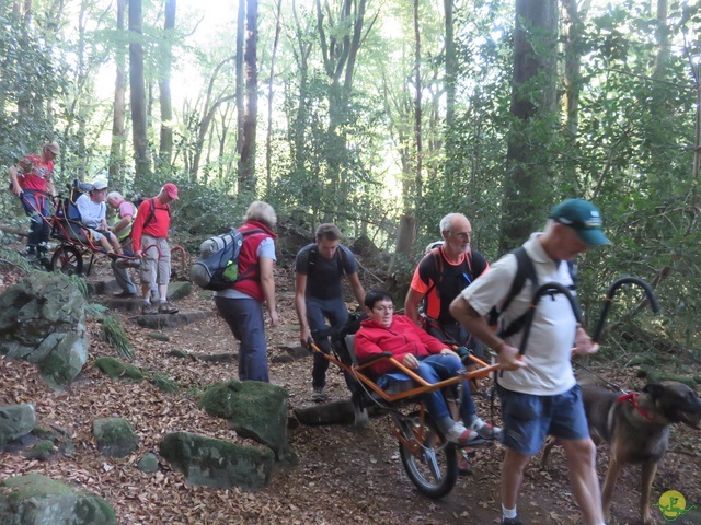 Randonnée joëlettes à Berdorf