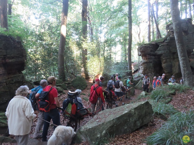 Randonnée joëlettes à Berdorf