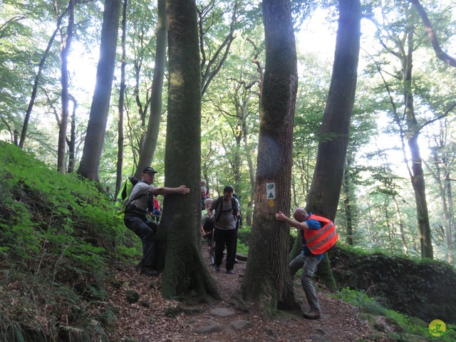 Randonnée joëlettes à Berdorf