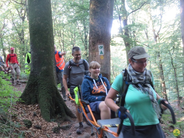 Randonnée joëlettes à Berdorf