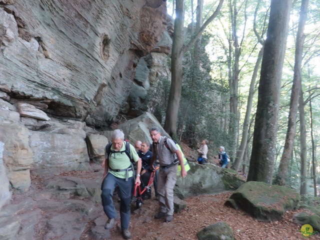 Randonnée joëlettes à Berdorf