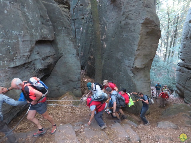 Randonnée joëlettes à Berdorf