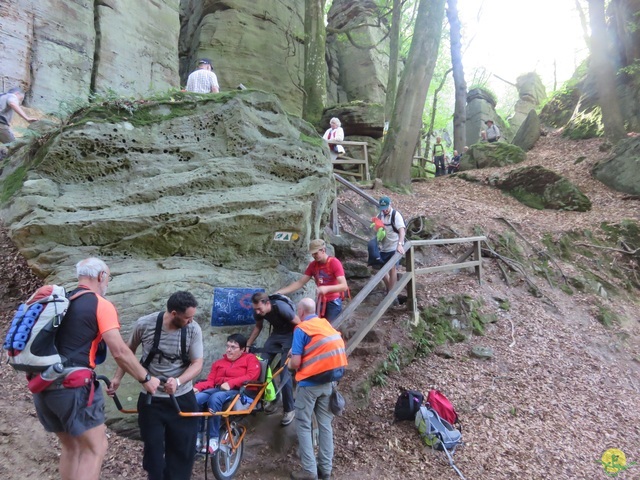 Randonnée joëlettes à Berdorf