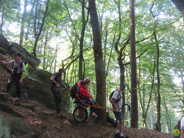 Randonnée joëlettes à Berdorf