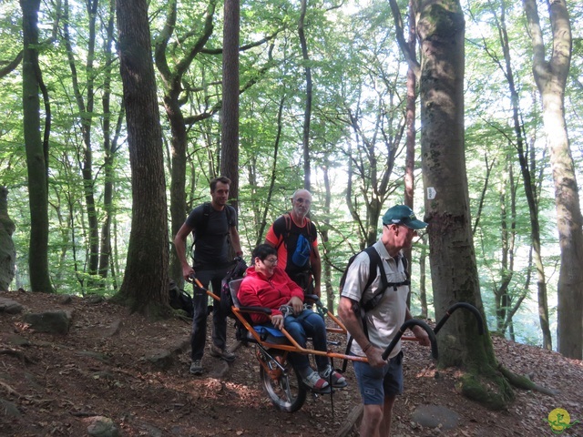 Randonnée joëlettes à Berdorf