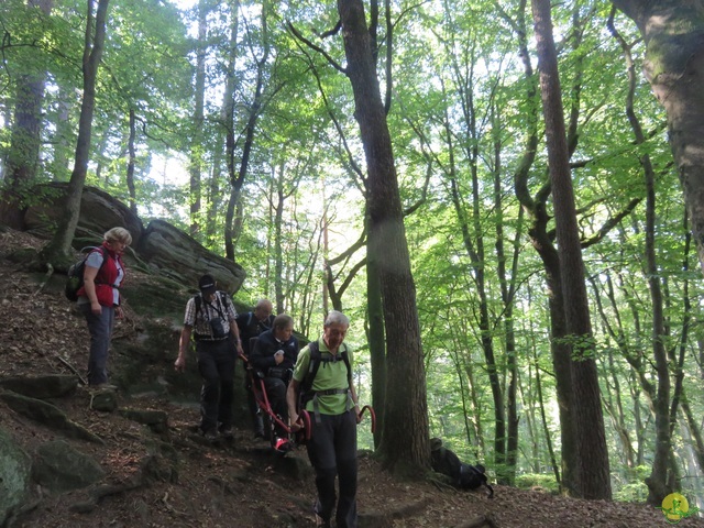 Randonnée joëlettes à Berdorf