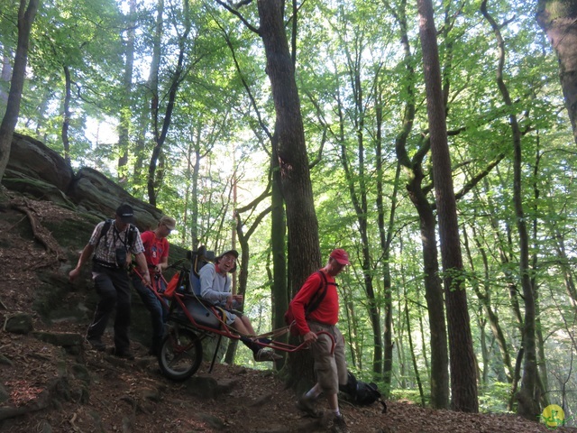 Randonnée joëlettes à Berdorf