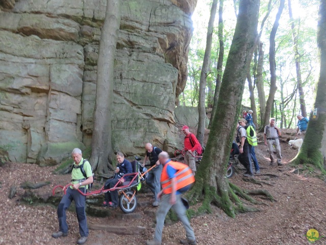 Randonnée joëlettes à Berdorf