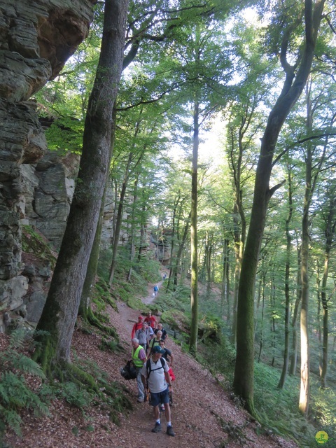 Randonnée joëlettes à Berdorf