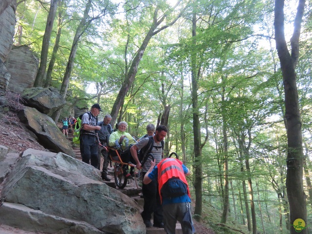 Randonnée joëlettes à Berdorf