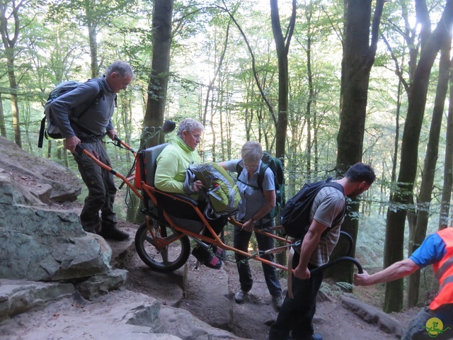 Randonnée joëlettes à Berdorf