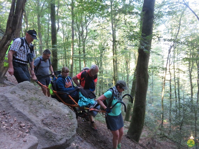 Randonnée joëlettes à Berdorf