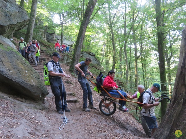 Randonnée joëlettes à Berdorf