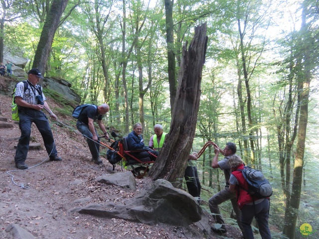 Randonnée joëlettes à Berdorf