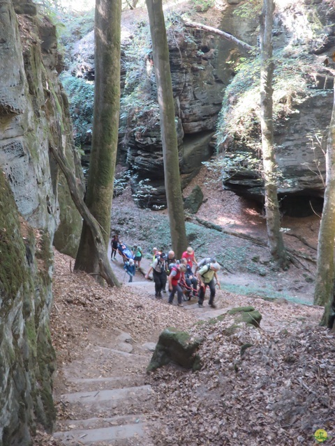 Randonnée joëlettes à Berdorf