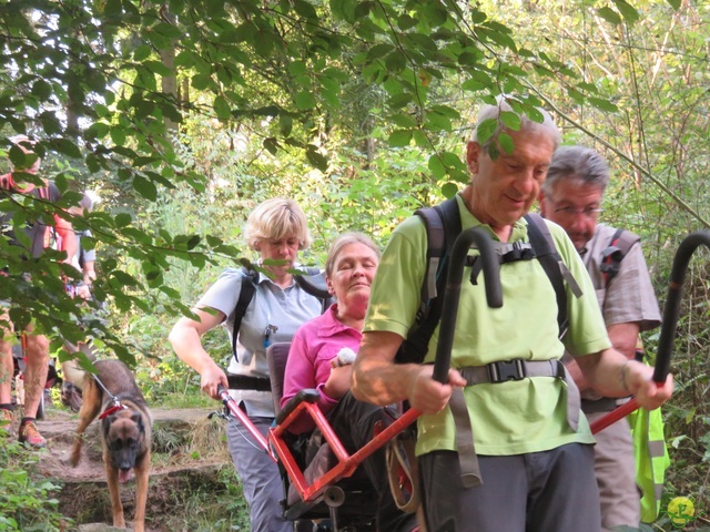 Randonnée joëlettes à Berdorf