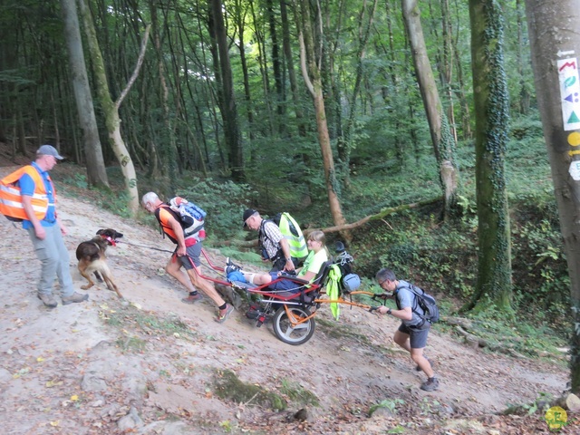 Randonnée joëlettes à Berdorf