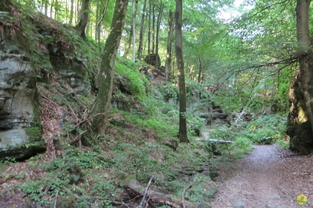 Randonnée joëlettes à Berdorf