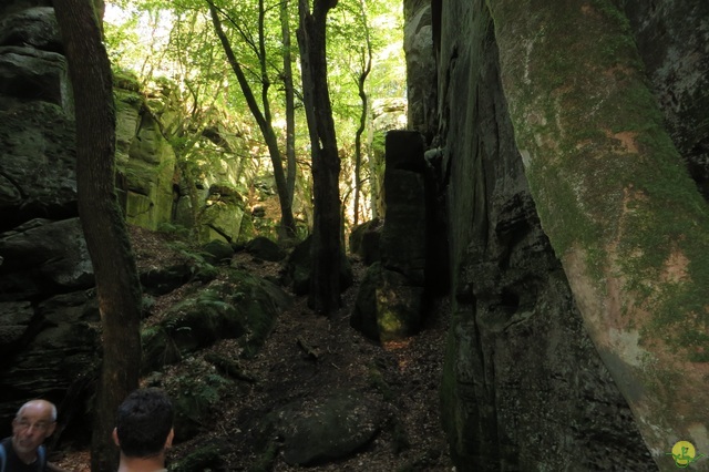 Randonnée joëlettes à Berdorf