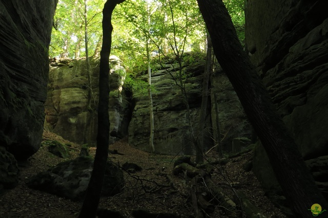 Randonnée joëlettes à Berdorf