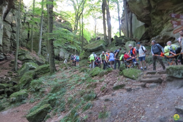 Randonnée joëlettes à Berdorf