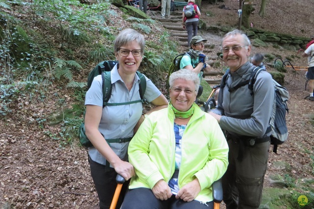 Randonnée joëlettes à Berdorf