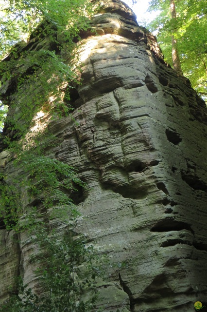 Randonnée joëlettes à Berdorf