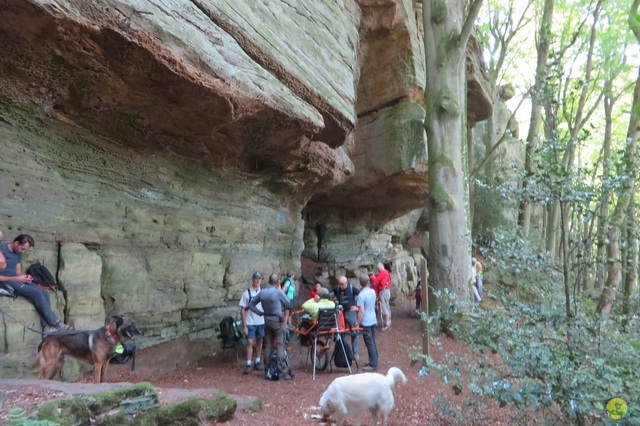 Randonnée joëlettes à Berdorf