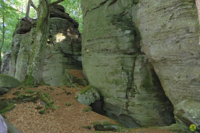 Randonnée joëlettes à Berdorf