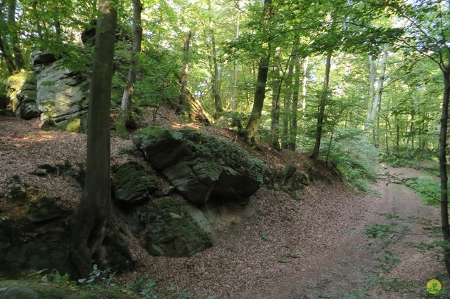 Randonnée joëlettes à Berdorf