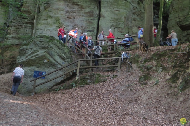 Randonnée joëlettes à Berdorf