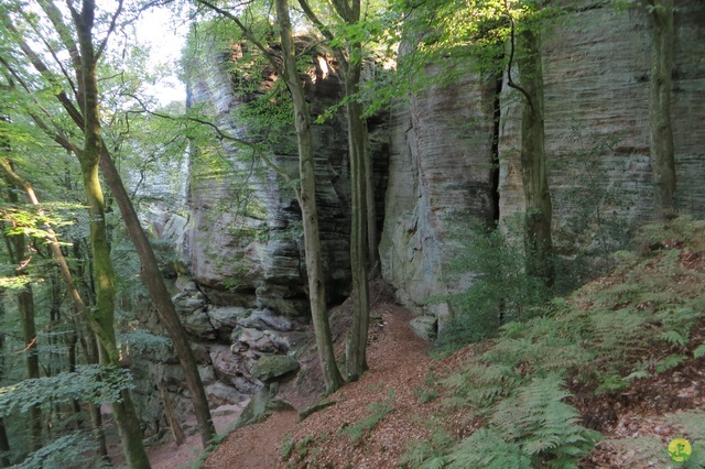 Randonnée joëlettes à Berdorf