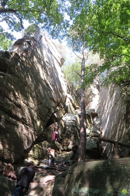 Randonnée joëlettes à Berdorf