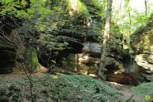 Randonnée joëlettes à Berdorf